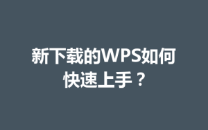 新下载的WPS如何快速上手？