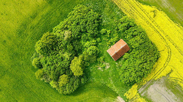 Mac用户必看！WPS官方下载与安装全流程教程