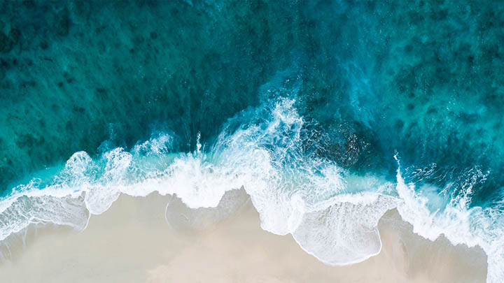 WPS如何下载网页?官方详细图文教程揭秘 WPS如何下载网页?官方详细图文教程揭秘 二