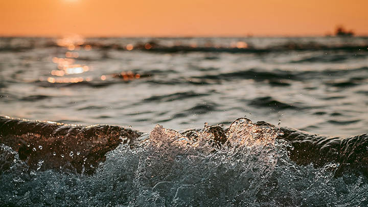 WPS程序怎么下载？官方正版获取详细教程 二