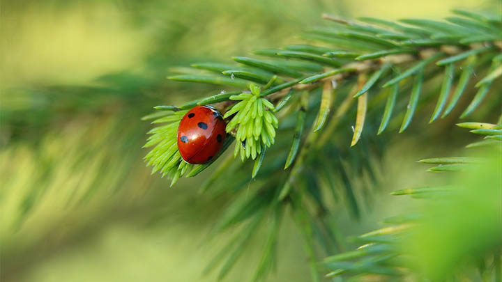 WPS怎么安装插件？详细教程教你快速下载插件 二