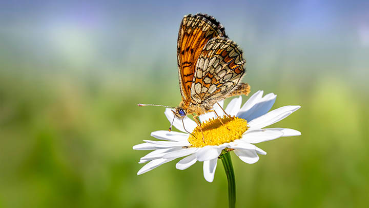 WPS下载后如何快速定位?电脑端文件位置查找全攻略 WPS下载后如何快速定位?电脑端文件位置查找全攻略 二