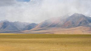 教育版WPS怎么下载？官方正版下载与安装教程