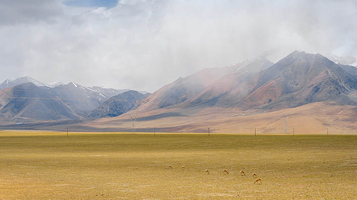 教育版WPS怎么下载?官方正版下载与安装教程