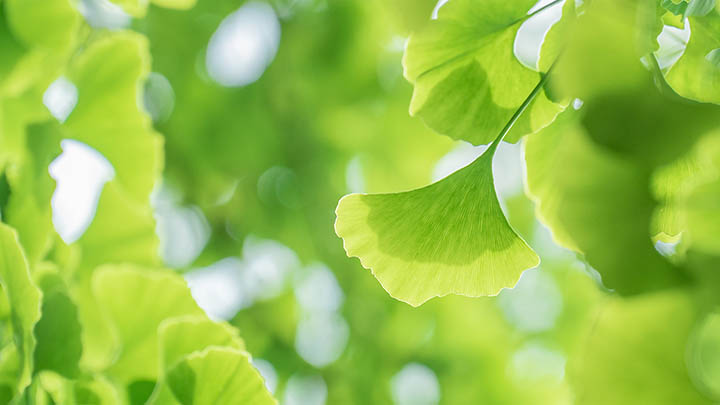 如何快速获取WPS安装包并正确下载? 如何快速获取WPS安装包并正确下载? 一