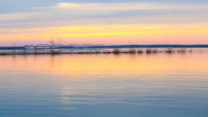 如何下载WPS个人版?官方正版获取教程详解