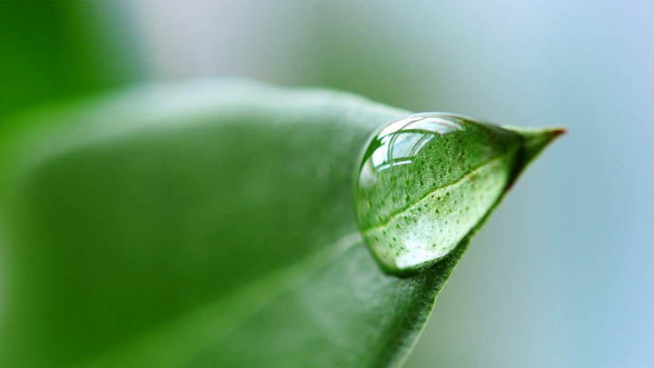 WPS中如何下载单元格？便捷操作指南让你快速掌握技能