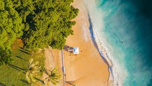 WPS下载指南:如何快捷打开下载文件