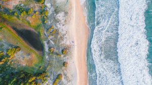 如何获取WPS：轻松下载的必备技巧与四大关键步骤