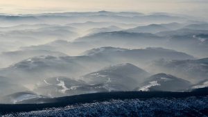 官方WPS下载：3步快速获取办公神器