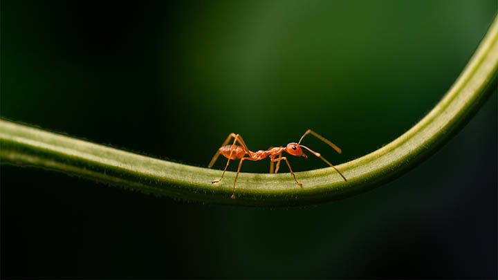 WPS下载记录怎么删?3步搞定隐藏技巧分享 WPS下载记录怎么删?3步搞定隐藏技巧分享 二