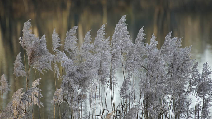WPS如何免费下载并实现多平台兼容? WPS如何免费下载并实现多平台兼容? 二
