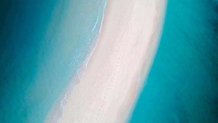 如何快速完成WPS下载和安装？ 二