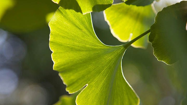 WPS怎么下载？教你快速获取并正确安装 二