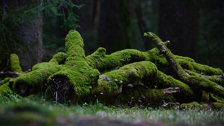 WPS怎么下载和安装?详细图文教程教你轻松搞定 WPS怎么下载和安装?详细图文教程教你轻松搞定 一
