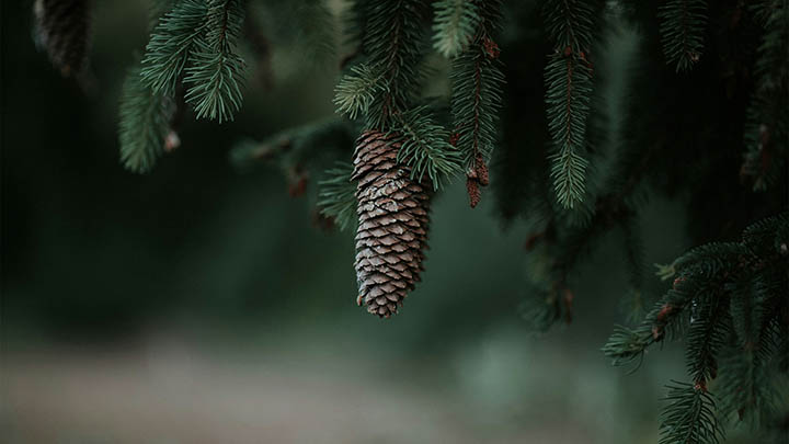 WPS如何免费下载?Win/Mac系统超全安装方法解析 WPS如何免费下载?Win/Mac系统超全安装方法解析 二