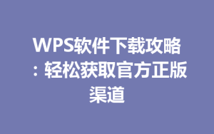WPS软件下载攻略：轻松获取官方正版渠道