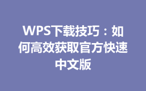 WPS下载技巧：如何高效获取官方快速中文版