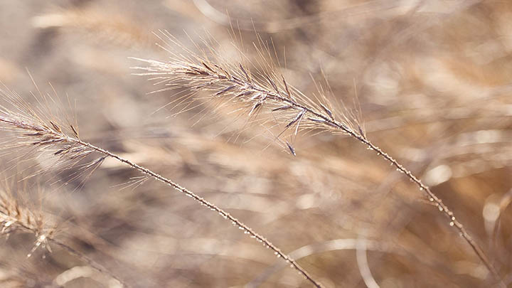 内网环境下如何快速下载WPS Office? 内网环境下如何快速下载WPS Office? 一