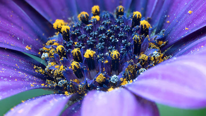 3分钟手把手教你下载并更新最新版WPS 3分钟手把手教你下载并更新最新版WPS 一