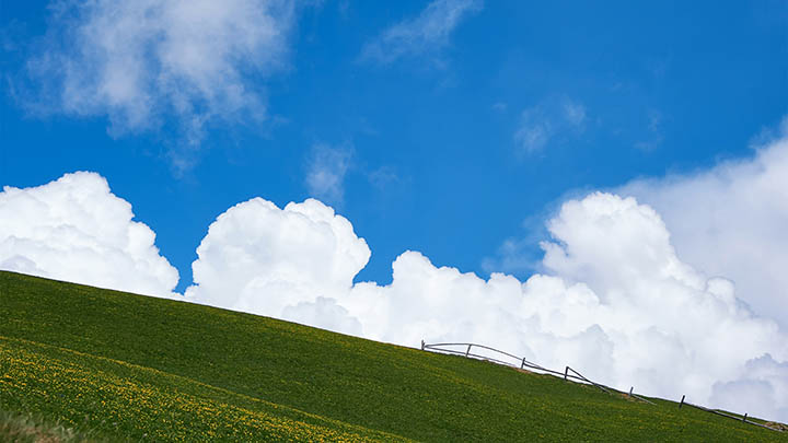 外国WPS怎么下载?最全操作指南看这里! 外国WPS怎么下载?最全操作指南看这里! 二
