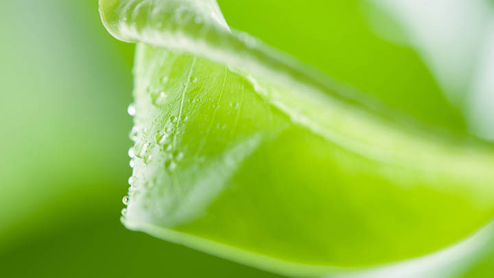 WPS下载攻略:如何快速找到对应版本 WPS下载攻略:如何快速找到对应版本 二