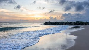 在WPS上如何快速下载？全平台使用指南解析