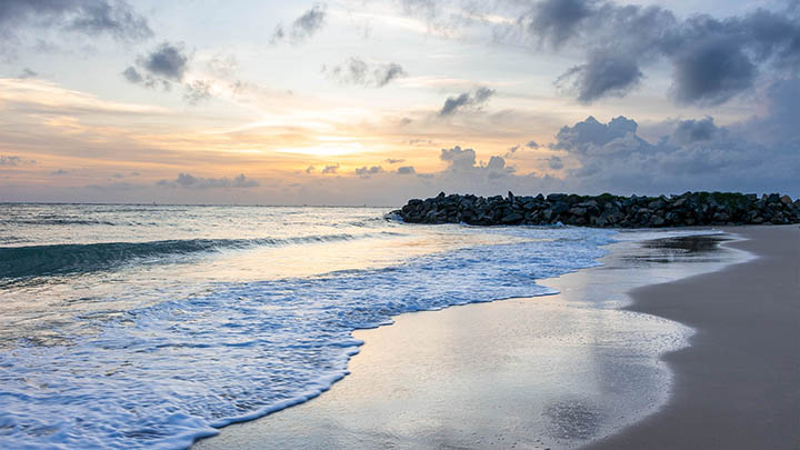 在WPS上如何快速下载?全平台使用指南解析 在WPS上如何快速下载?全平台使用指南解析 一