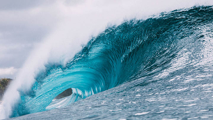 WPS素材下载难？3种路径教你快速获取 一