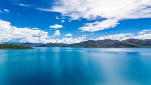 WPS如何下载中文版本?详细教程轻松搞定!