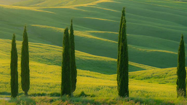 WPS Office如何下载？官方渠道与快捷安装全攻略 二