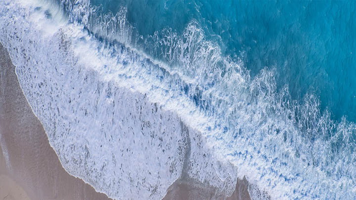 WPS全套下载教程：快速获取官方正版资源 二