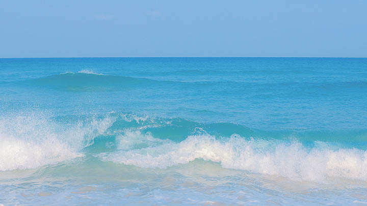 如何正确下载WPS素材？全面解析使用技巧 二