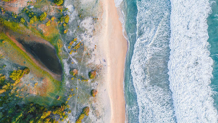 怎么下载WPS文章？详细图文教程教你轻松获取