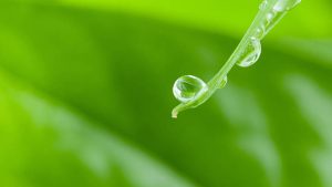 最新WPS下载指南:快速获取完整版安装教程