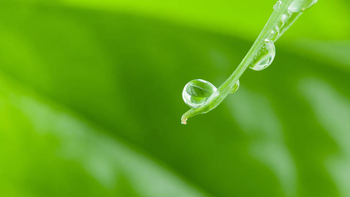 最新WPS下载指南：快速获取完整版安装教程 一