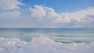 如何快速下载适合自己的WPS版本?