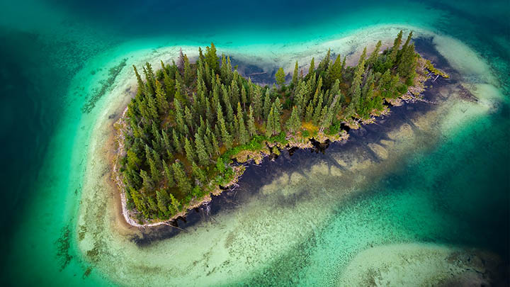 如何快速获取WPS原文下载方法?