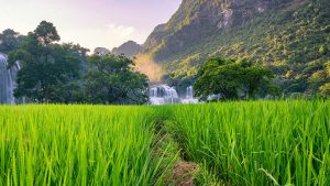 WPS如何重新下载:官方完整指南快速解决