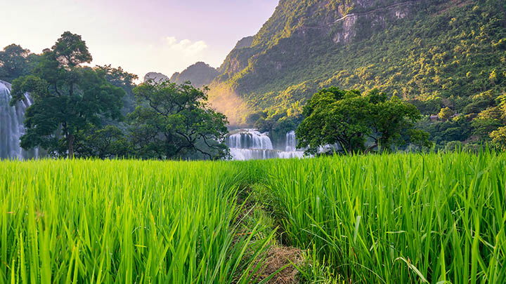 WPS如何重新下载：官方完整指南快速解决 一