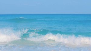 iPad下载WPS Office如何操作？