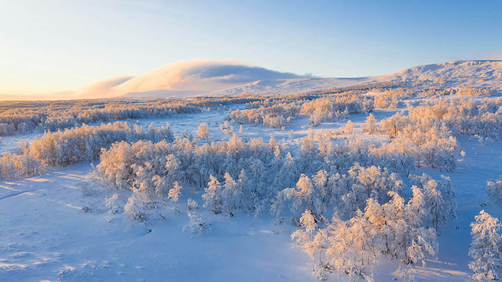 微软WPS下载教程：快速获取并安装全新办公软件 二