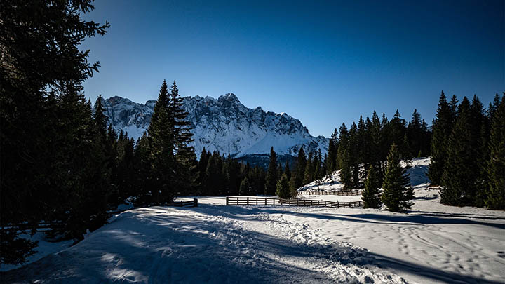 如何用WPS下载文件？轻松掌握这几个简单技巧！