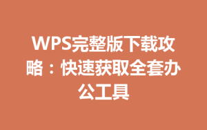 WPS完整版下载攻略：快速获取全套办公工具