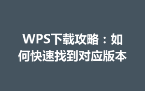 WPS下载攻略：如何快速找到对应版本