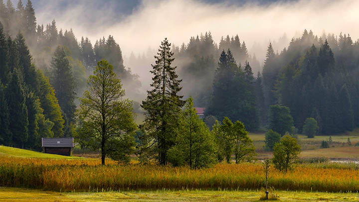 如何正确下载和安装WPS Office? 如何正确下载和安装WPS Office? 二