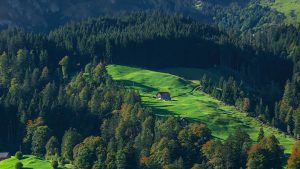 旧版WPS如何下载？免费获取经典版本的详细教程