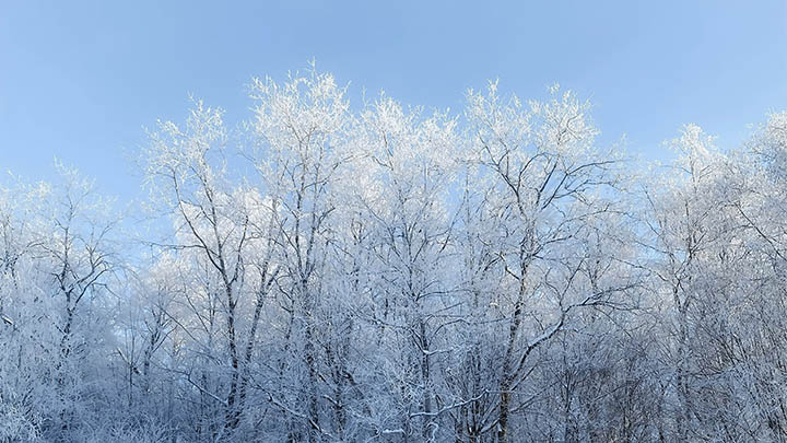 卸载WPS软件全攻略：官方教程及快速删除技巧 二