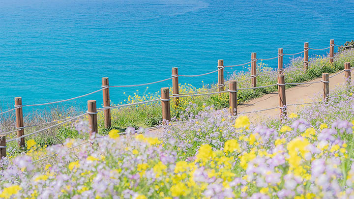 如何下载WPS附件？详细步骤与实用技巧解析 二