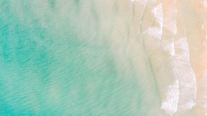 WPS便签如何快速下载?